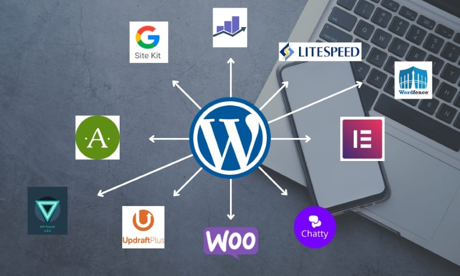 Wordpress Course In Jaipur